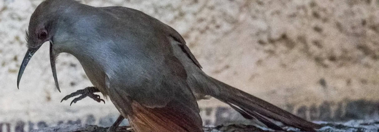 70 12 12 12 - Er det spam eller salg?