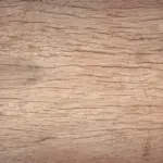 Guide til vedligeholdelse af olierede trægulve