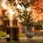 Hvad er en villalejlighed? Alt du bør vide om boligtypen, der kombinerer villaens frihed med lejlighedens bekvemmelighed