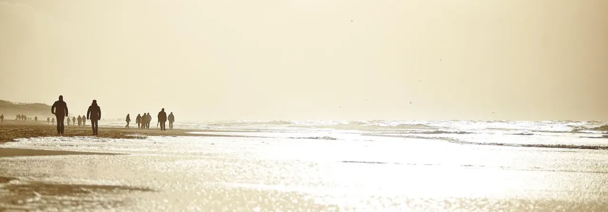 Hvad koster en tilstandsrapport? Sådan får du mest værdi for pengene