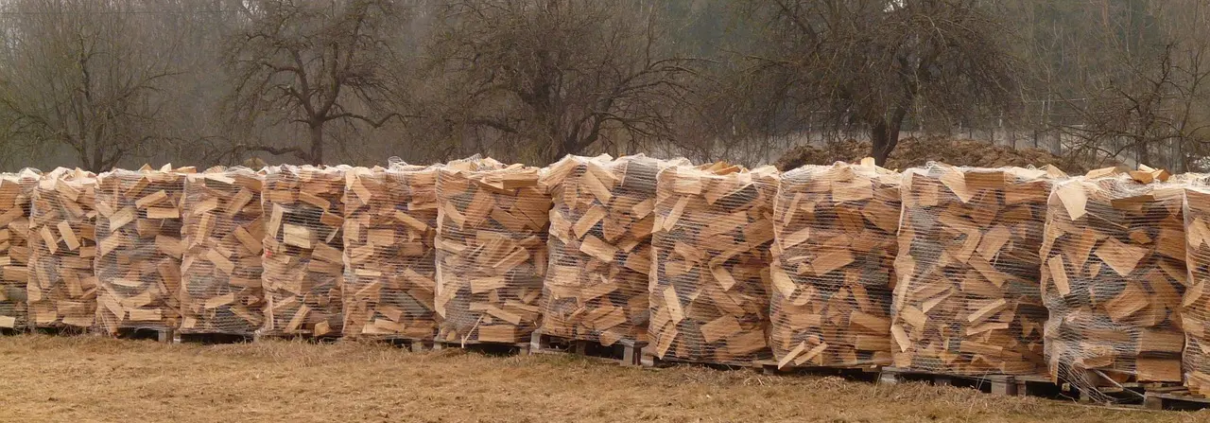 Hvilket træ er bedst til brændeovn? Eksperternes guide til varmt hjem, lang brændetid og lav røg