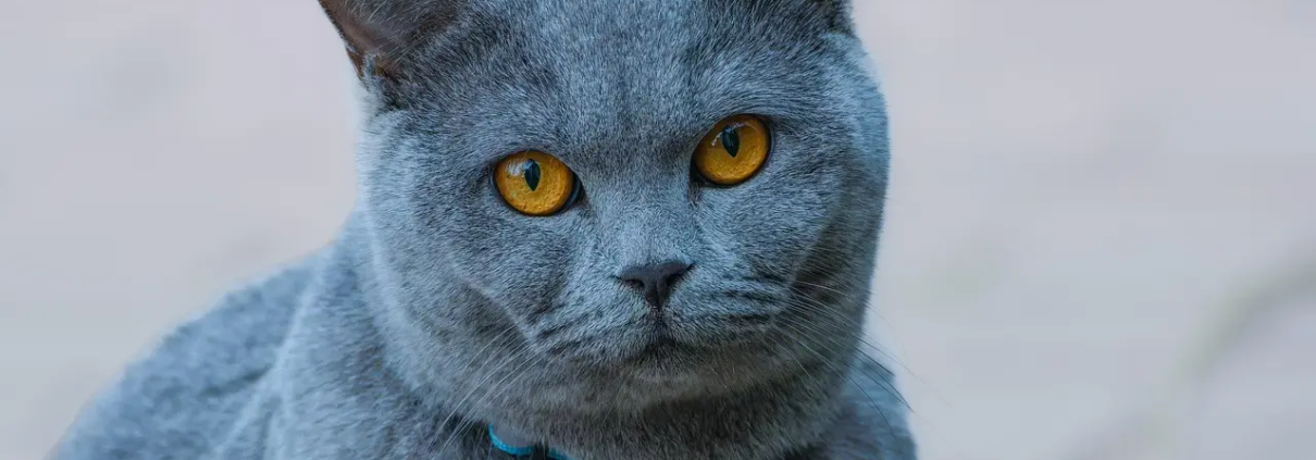 Hvordan virker en varmtvandsbeholder? - Sådan får du varmt vand hurtigt og effektivt