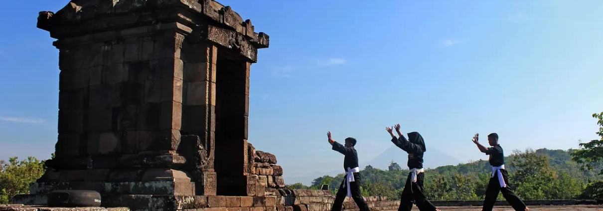 Løsningsforslag til Kampsport i krydsord