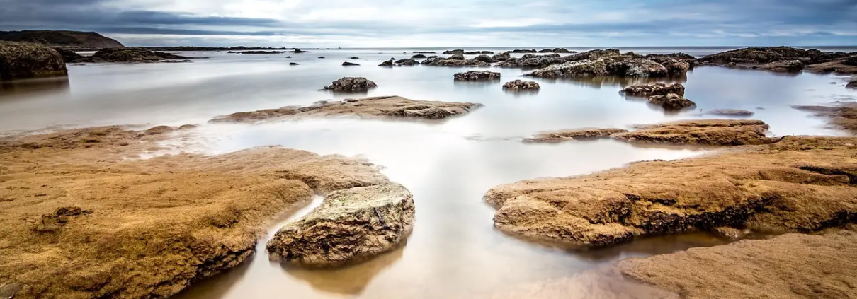 Medvirkende i Rocky Horror Picture Show