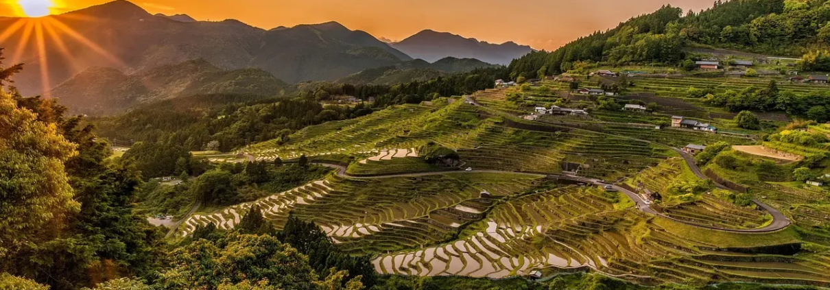 Skal du have byggetilladelse til en carport ved et rækkehus?